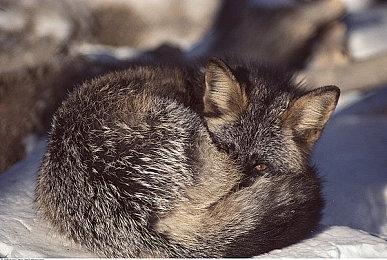 国外YouTuber成功打造PS5 Slim 厚不到2厘米